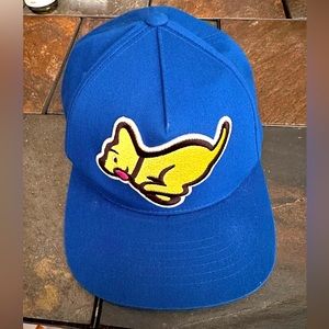 Ice Cream Hat Snapback Cap Blue Yellow Dog